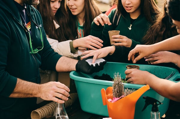 Πέντε χρόνια δράσης της Motor Oil στην Αμυγδαλέζα: Μια πρωτοβουλία για τα ελληνικά δάση