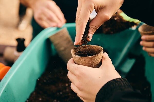 Πέντε χρόνια δράσης της Motor Oil στην Αμυγδαλέζα: Μια πρωτοβουλία για τα ελληνικά δάση