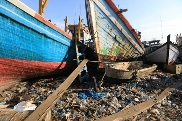 ΠΑΓΚΟΣΜΙΑ ΗΜΕΡΑ ΤΗΣ ΓΗΣ