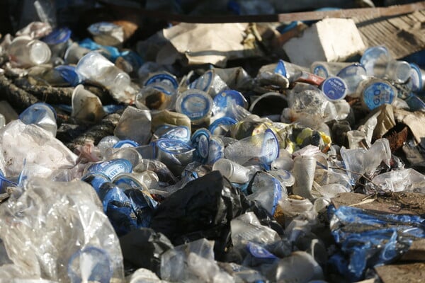 ΠΑΓΚΟΣΜΙΑ ΗΜΕΡΑ ΤΗΣ ΓΗΣ