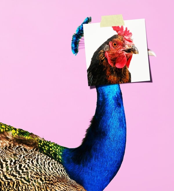 Τα πτυχία ή για τα παθήματα της αριστείας 