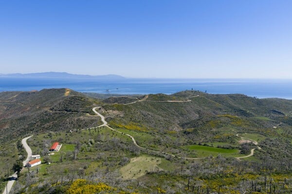 2.000 δέντρα για τη Γη: ΒΙΚΟΣ και we4all δίνουν ξανά ζωή σε Χίο και Βόρεια Εύβοια