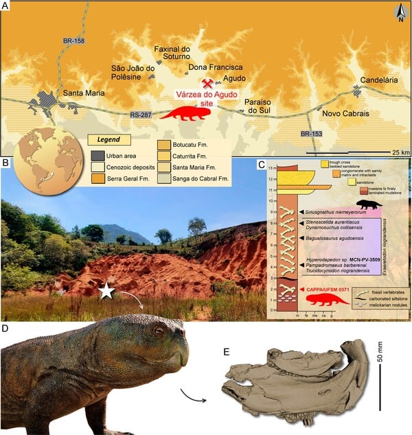 ΔΕΙΝΟΣΑΥΡΟΙ ΒΡΑΖΙΛΙΑ ΣΚΩΤΙΑ