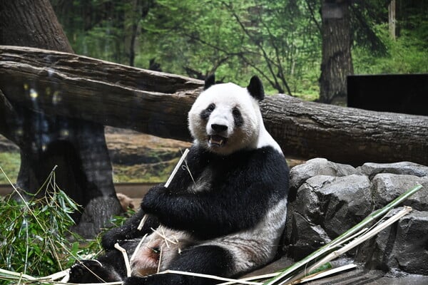 ΠΑΝΤΑ ΚΙΝΑ ΗΠΑ ΖΩΟΛΟΓΙΚΟΣ ΚΗΠΟΣ