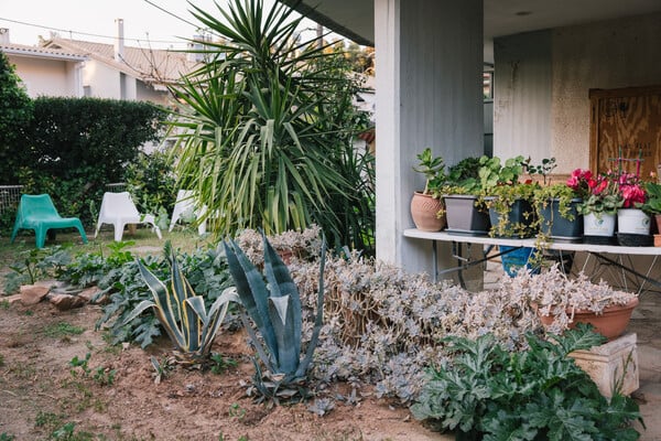 Ένα σπίτι που λειτουργεί ως φυτώριο ιδεών