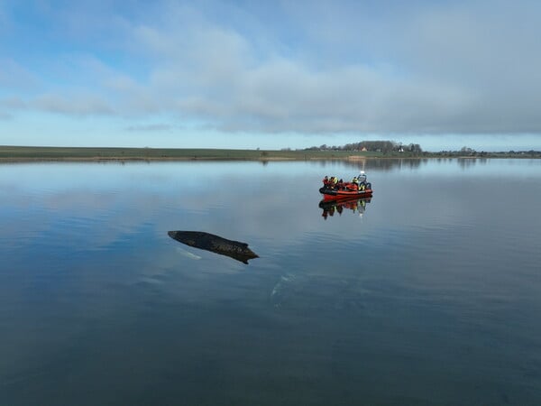 ΦΑΛΑΙΝΑ ΓΕΡΜΑΝΙΑ ΔΙΑΣΩΣΗ ΤΙΜΙ