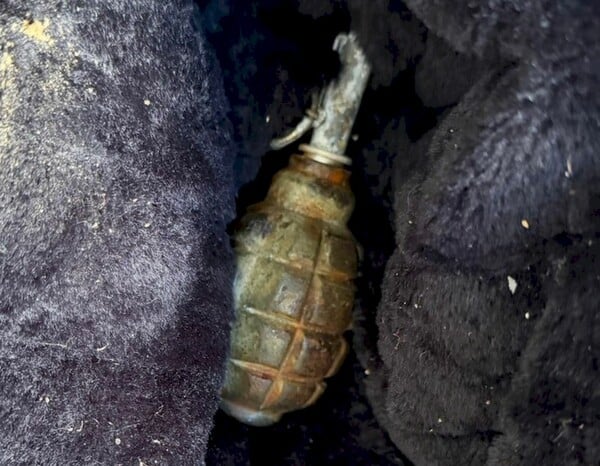 ΚΥΨΕΛΗ ΧΕΙΡΟΒΟΜΒΙΔΑ