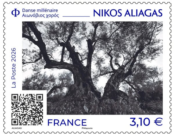 ΜΕΣΟΛΟΓΓΙ ΑΙΩΝΟΒΙΕΣ ΕΛΙΕΣ ΓΡΑΜΜΑΤΟΣΗΜΟ ΝΙΚΟΣ ΑΛΙΑΓΑΣ