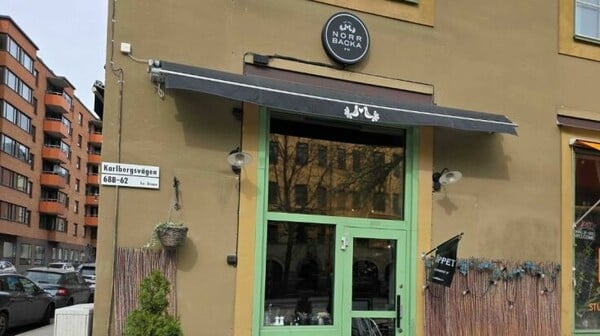 ΣΤΟΚΧΟΛΜΗ AI ΤΕΧΝΗΤΗ ΝΟΥΜΟΣΗΝΗ 