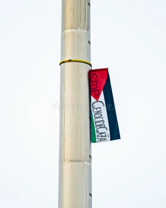 ΔΟΥΒΛΙΝΟ ΠΑΛΑΙΣΤΙΝΗ ΣΗΜΑΙΑ 