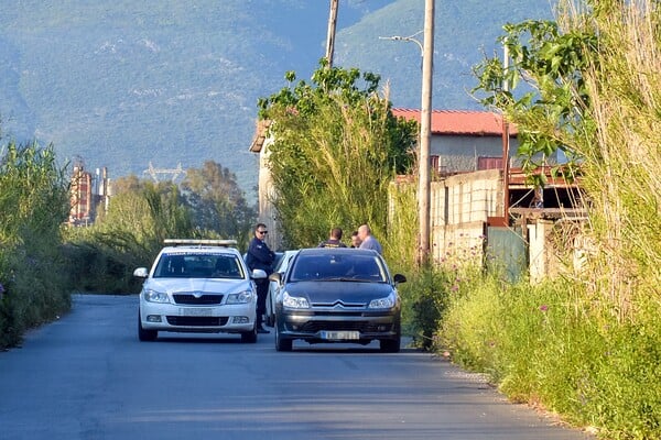 ΚΑΛΑΜΑΤΑ ΝΕΚΡΟΣ ΑΥΤΟΚΤΟΝΙΑ ΣΤΑΒΛΟΣ