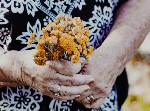 ΓΗΡΟΚΟΜΕΙΟ ΑΜΠΕΛΟΚΗΠΟΙ ΕΦΟΔΟΣ ΠΑΡΑΝΟΜΟ