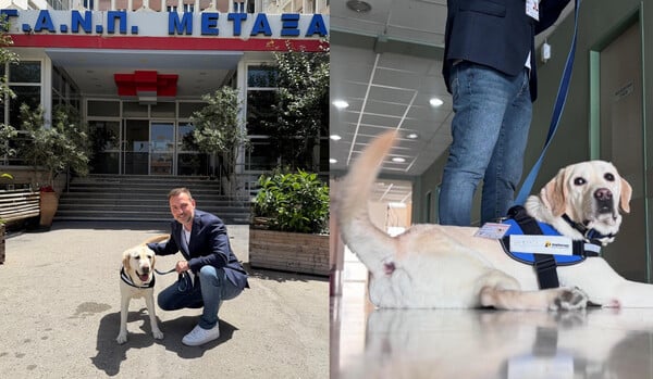 ΣΚΥΛΟΣ ΘΕΡΑΠΕΙΑΣ ΝΟΣΟΚΟΜΕΙΟ ΜΕΤΑΞΑ ΝΤΥΛΑΝ