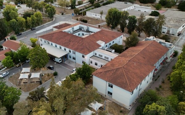 ΕΓΚΛΗΜΑ ΔΑΦΝΙ ΤΡΟΦΙΜΟ ΣΤΡΑΓΓΑΛΙΣΕ