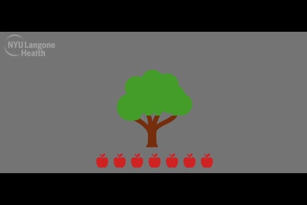 ΚΑΤΑΘΛΙΨΗ ΠΑΙΧΝΙΔΙ ΒΙΝΤΕΟΠΑΙΧΝΙΔΙ