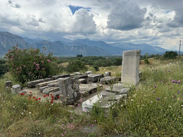 ΛΙΝΑ ΜΕΝΔΩΝΗ ΣΠΑΡΤΗ
