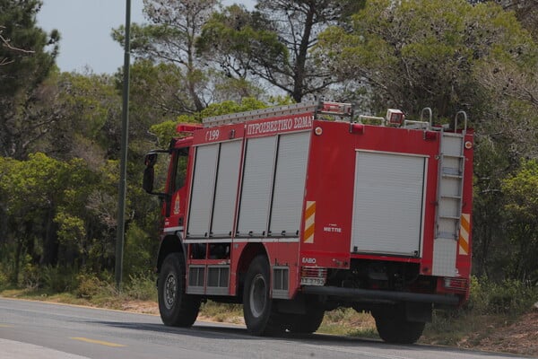ΦΩΤΙΑ ΚΑΛΥΒΙΑ ΠΥΡΟΣΒΕΣΤΙΚΗ ΧΑΜΗΛΗ ΒΛΑΣΤΗΣΗ
