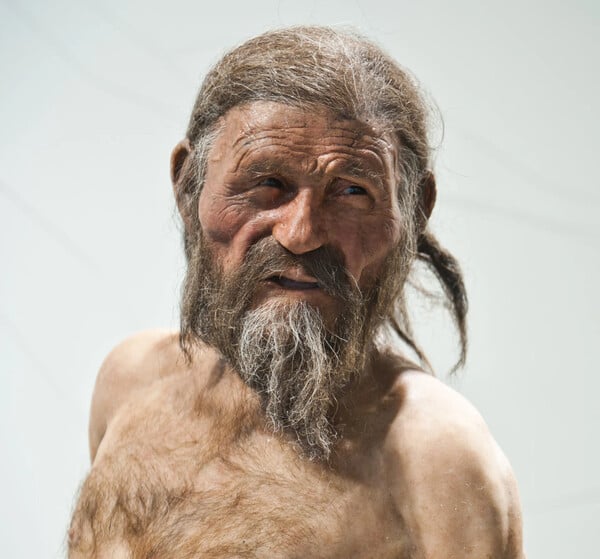 ΑΝΘΡΩΠΟΣ ΤΩΝ ΠΑΓΩΝ OTZI ΨΩΜΙ
