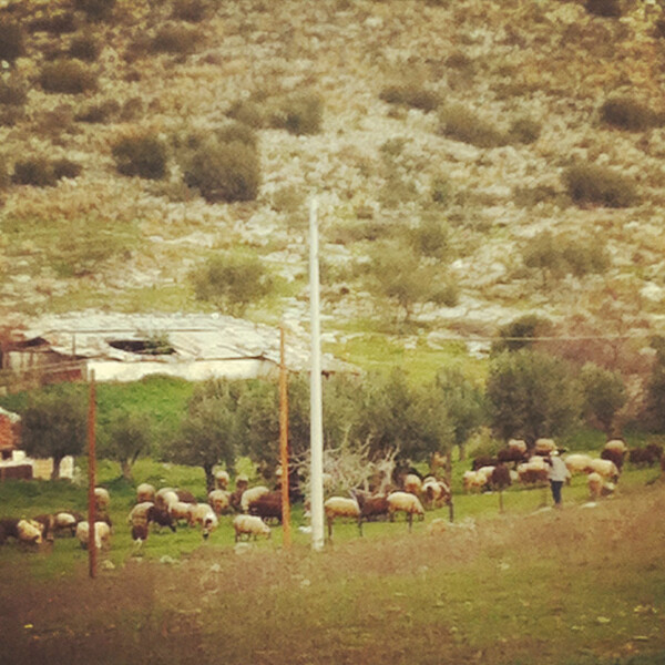 Η Τερψιθέα, από τον Δημήτρη Λαϊνά