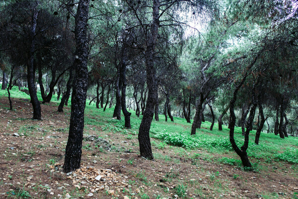 Πώς κυλούν οι μέρες στον Υμηττό;