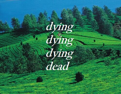 Running out of lullabies