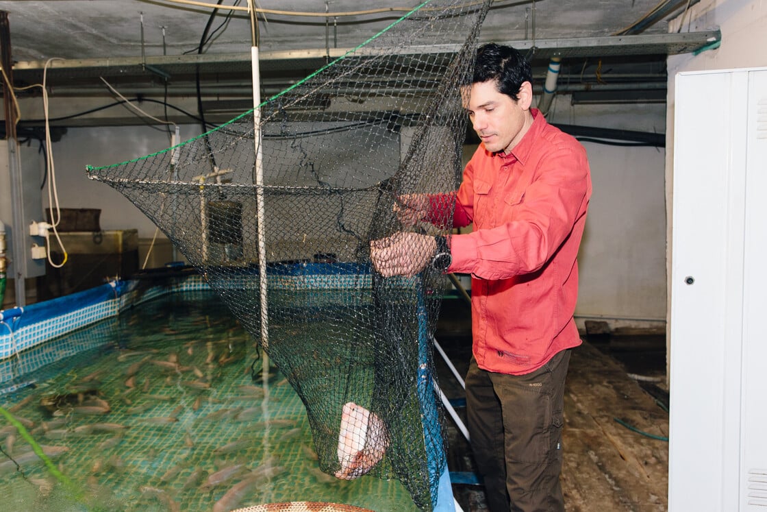 Κεραμίδι Βάλτου