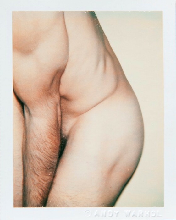 Οι «dick pics» που ενέπνευσαν τα πιο πορνογραφικά έργα του Άντι Γουόρχολ