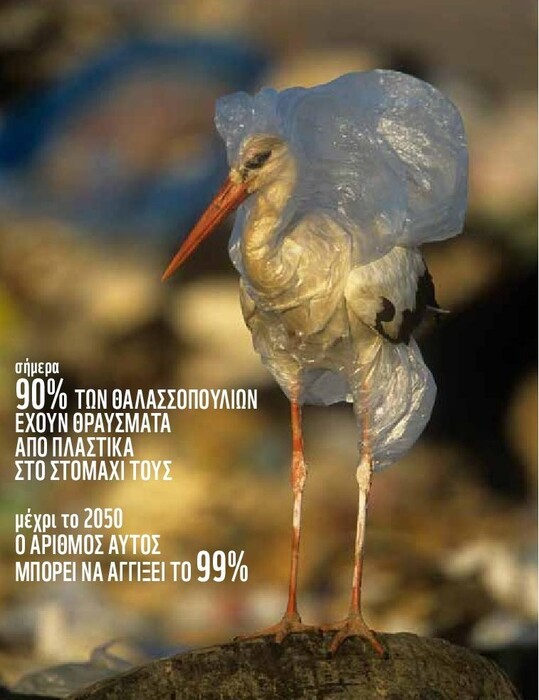 Oι ελληνικές θάλασσες «πνίγονται» από το πλαστικό - Η σοκαριστική, νέα έκθεση της WWF για τη Μεσόγειο