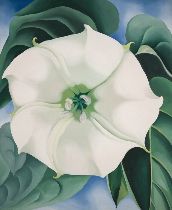 Τα άνθη της Georgia O’Keeffe θα στολίσουν την Tate Modern