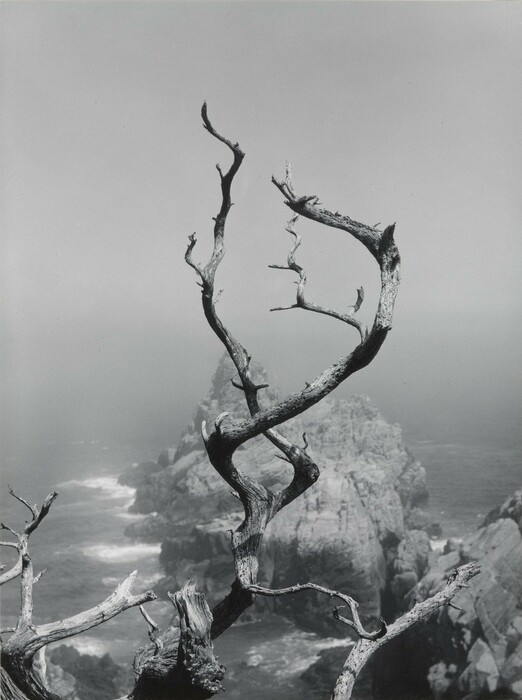 6.000 φωτογραφίες του Minor White είναι πια διαθέσιμες online