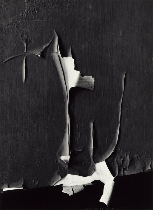 6.000 φωτογραφίες του Minor White είναι πια διαθέσιμες online