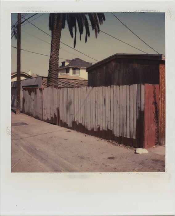 Η ιστορία της Polaroid μέσα από μια συναρπαστική έκθεση στο Αμβούργο