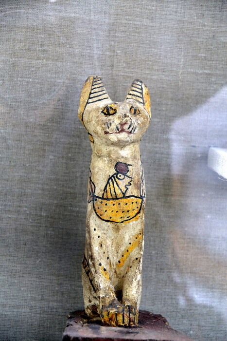 Τάφοι σε αρχαία νεκρόπολη της Αιγύπτου έκρυβαν σπάνιες μούμιες με γάτες και σκαραβαίους