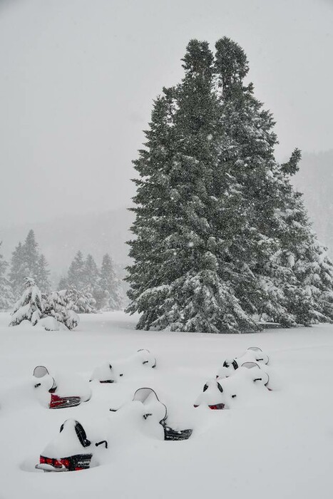 Το καταφύγιο Οίτης θαμμένο στο χιόνι - Λευκό τοπίο και υπέροχες φωτογραφίες