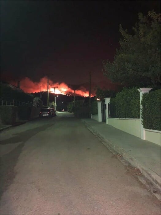 Φωτιά στη Νέα Μάκρη Αττικής - Μεγάλη κινητοποίηση της πυροσβεστικής