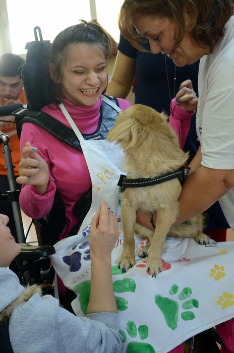 «Therapy Dogs»: πώς δημιουργήθηκε η πρώτη ομάδα «σκύλων-θεραπευτών» στην Ελλάδα