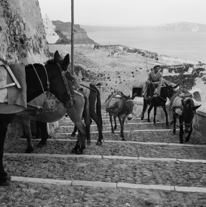 Γαϊδουράκια, θέα και τουρίστες στη Σαντορίνη του 1968