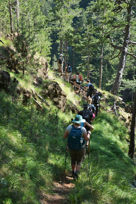 Ένα μακρύ ταξίδι με τα πόδια στα δάση και τα βουνά της βόρειας Πίνδου