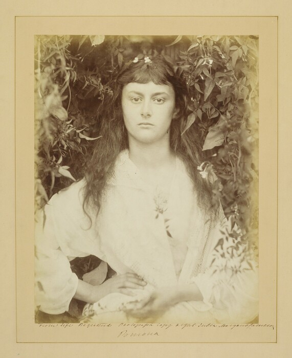 Victoria & Albert Museum: Εικονική «πρόγευση» της Αλίκης στη Χώρα των Θαυμάτων