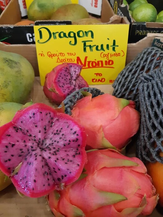 Εξωτικά dragon fruit που καλλιεργούνται 30χλμ από το κέντρο της Αθήνας