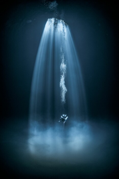Κάτω από τη θάλασσα: Οι νικητές του διαγωνισμού υποβρύχιας φωτογραφίας Through Your Lens 2020
