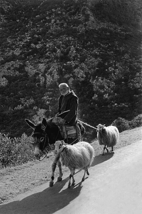 Η Κρήτη του 1955