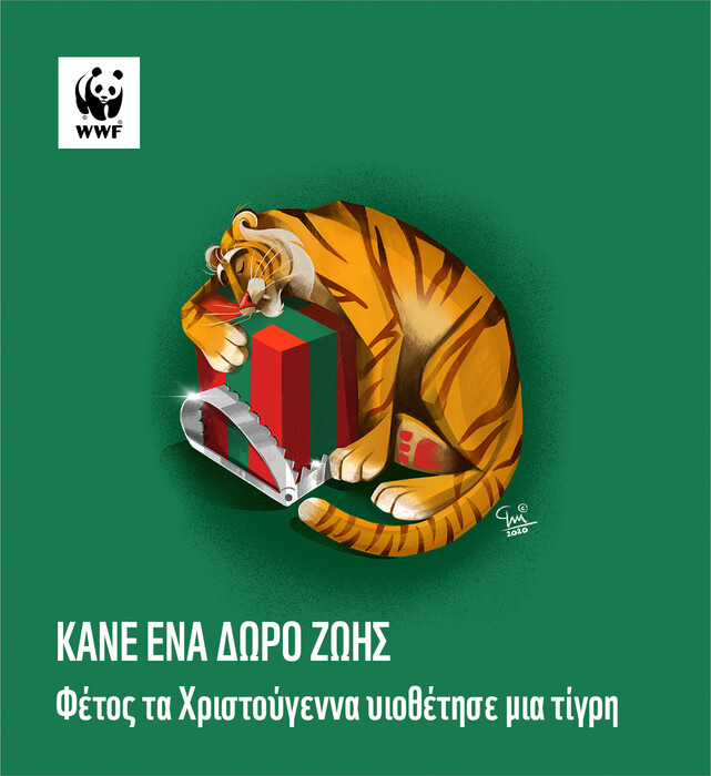 WWF: Υπάρχουν δώρα που δεν μπορούν να περιμένουν - Φέτος υιοθέτησε ένα σπάνιο πλάσμα