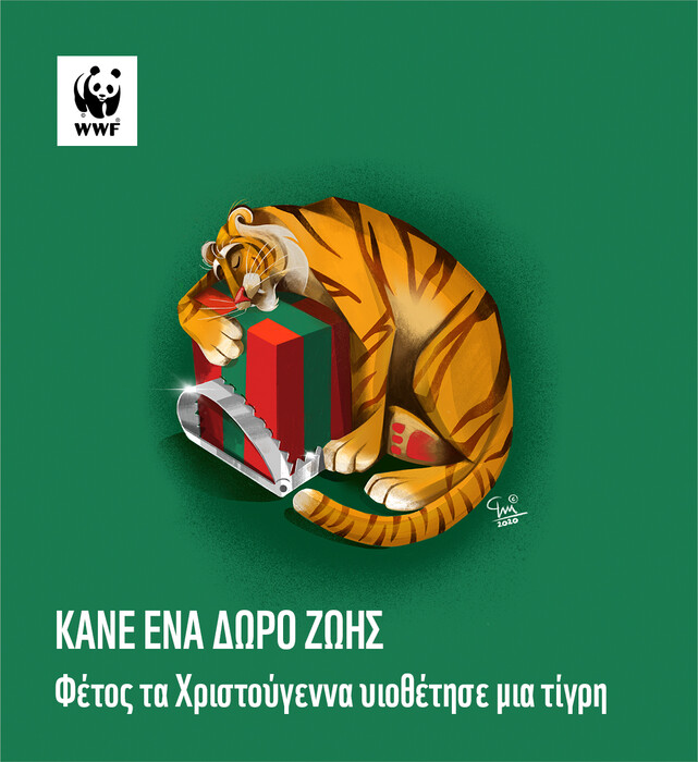WWF: Υπάρχουν δώρα που δεν μπορούν να περιμένουν - Φέτος υιοθέτησε ένα σπάνιο πλάσμα