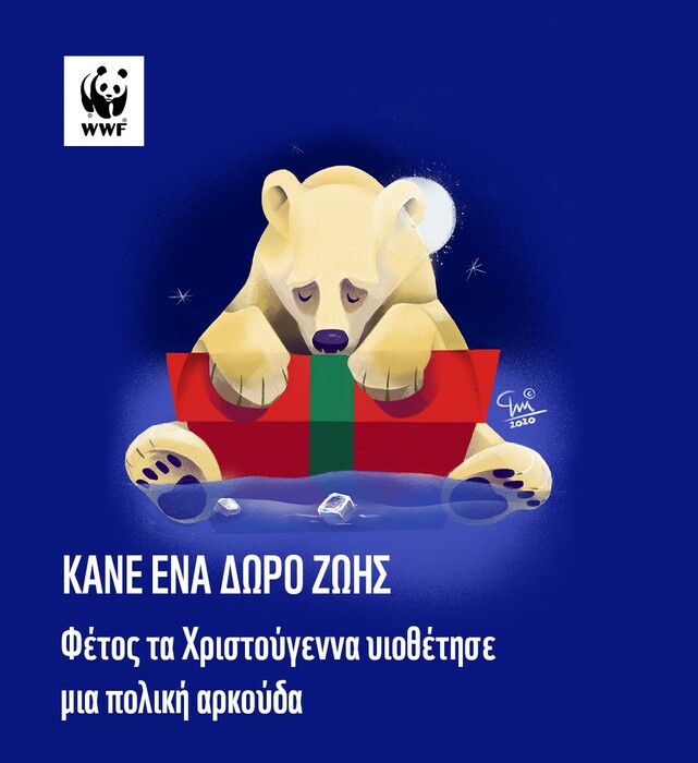 WWF: Υπάρχουν δώρα που δεν μπορούν να περιμένουν - Φέτος υιοθέτησε ένα σπάνιο πλάσμα