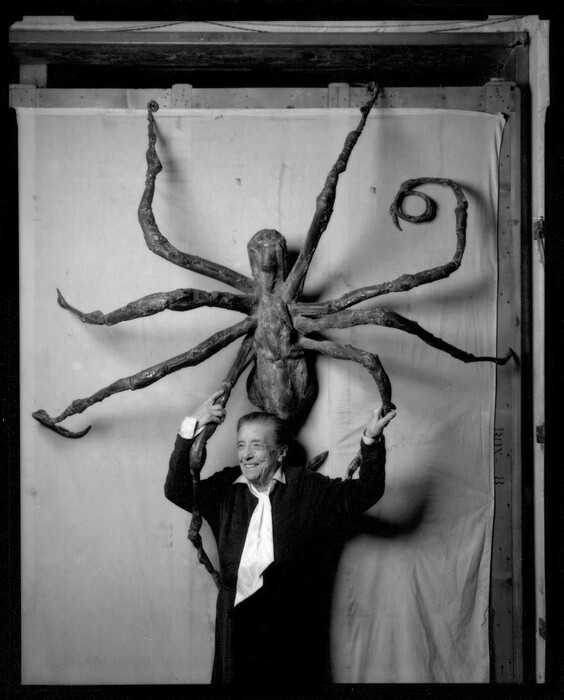 Γιατί η Λουίζ Μπουρζουά δημιούργησε τις γιγάντιες, χαλύβδινες αράχνες της