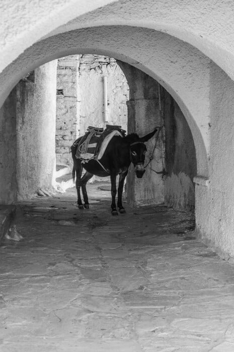 Μια παλιά Ελλάδα, μια παλιά ζωή. Οι φωτογραφίες της Ελένης Σιγαλού