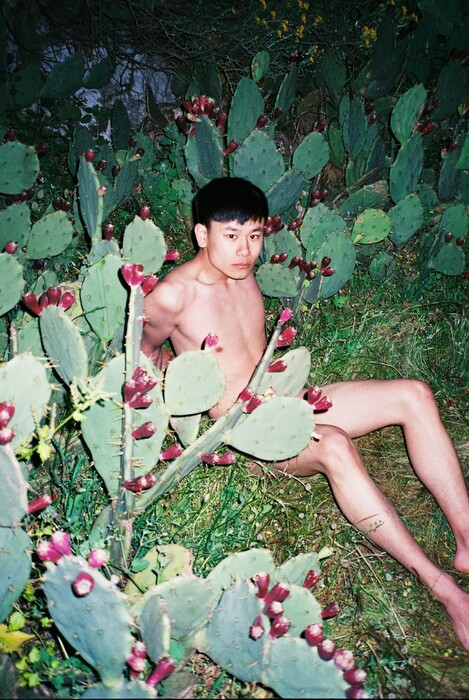 Όταν ο Ren Hang, που πέθανε σήμερα, φωτογράφιζε γυμνά στη φύση της Αθήνας