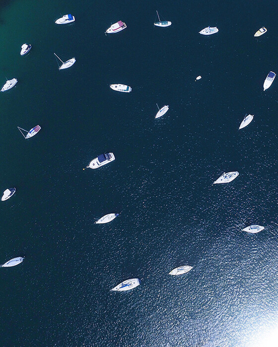 Πετώντας πάνω από τη θάλασσα του Σίδνεϊ