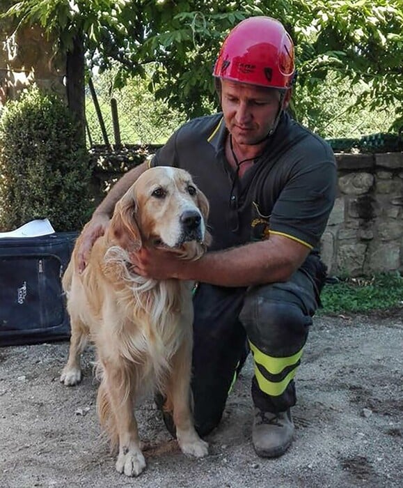 Ο σκύλος που βρέθηκε ζωντανός μετά από 9 μέρες στα χαλάσματα του σεισμού στην Ιταλία